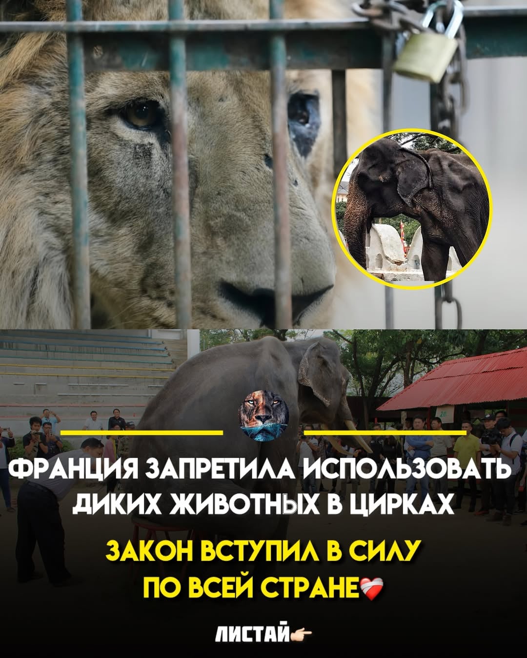 Поставьте - ♥️ и поделитесь с близкими🫂 Хорошие новости со всего мира, о которых почти никто не говорит..❤️🔥🙏🏻 Устали от бесконечного потока плохих новостей? Тогда подписывайтесь на наш канал,