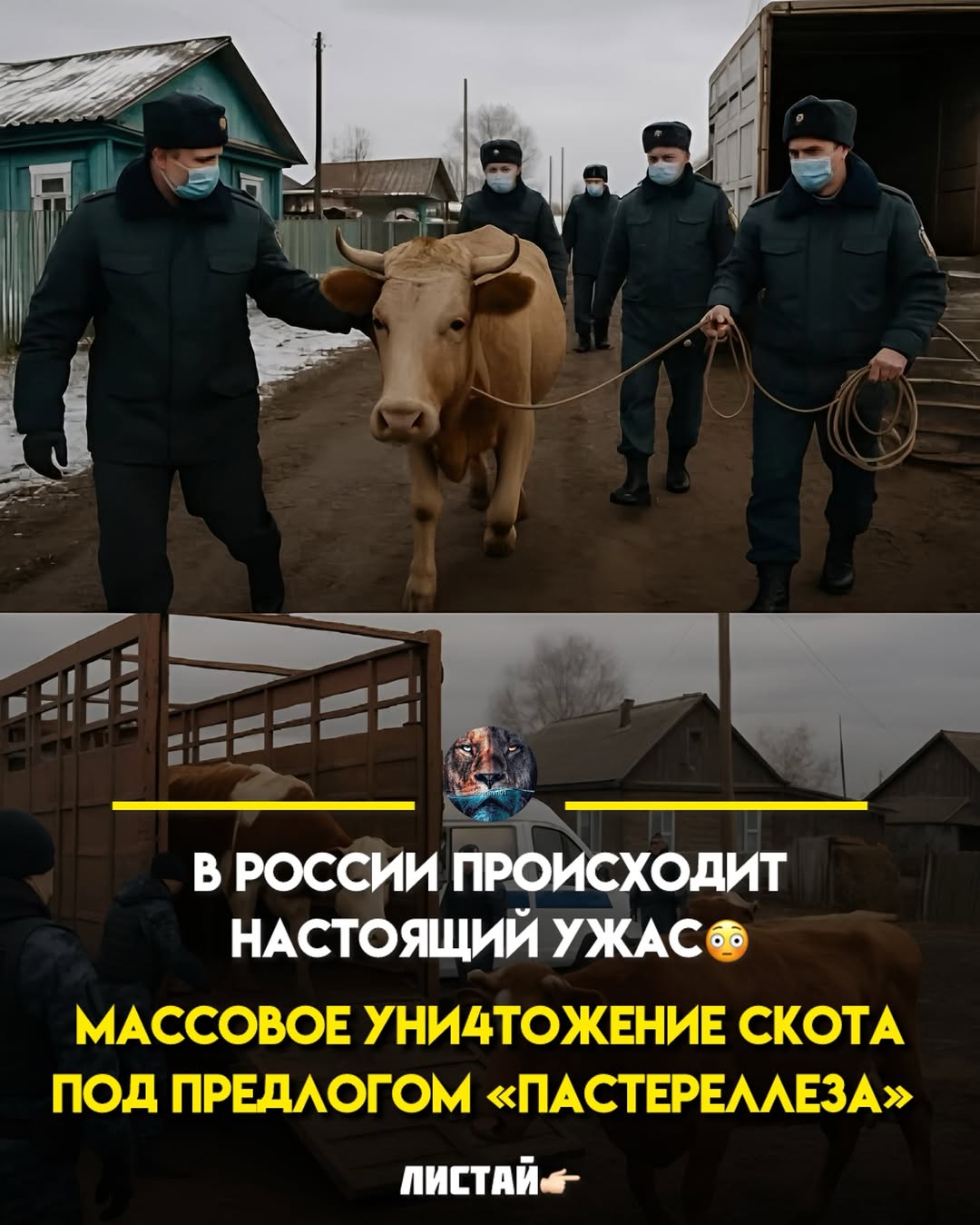 Максимальный репост, поддержим простых работяг🤝❤️🩹 Настоящий беспредел, с которым столкнулись владельцы частных хозяйств в России..💔