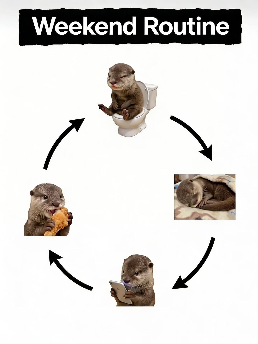 먹고 자고 싸고 #주말 #weekend