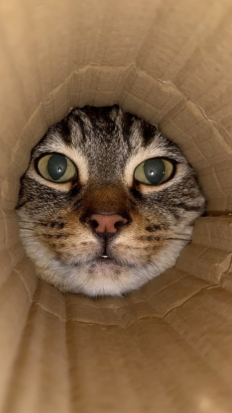 Top post by @instagram