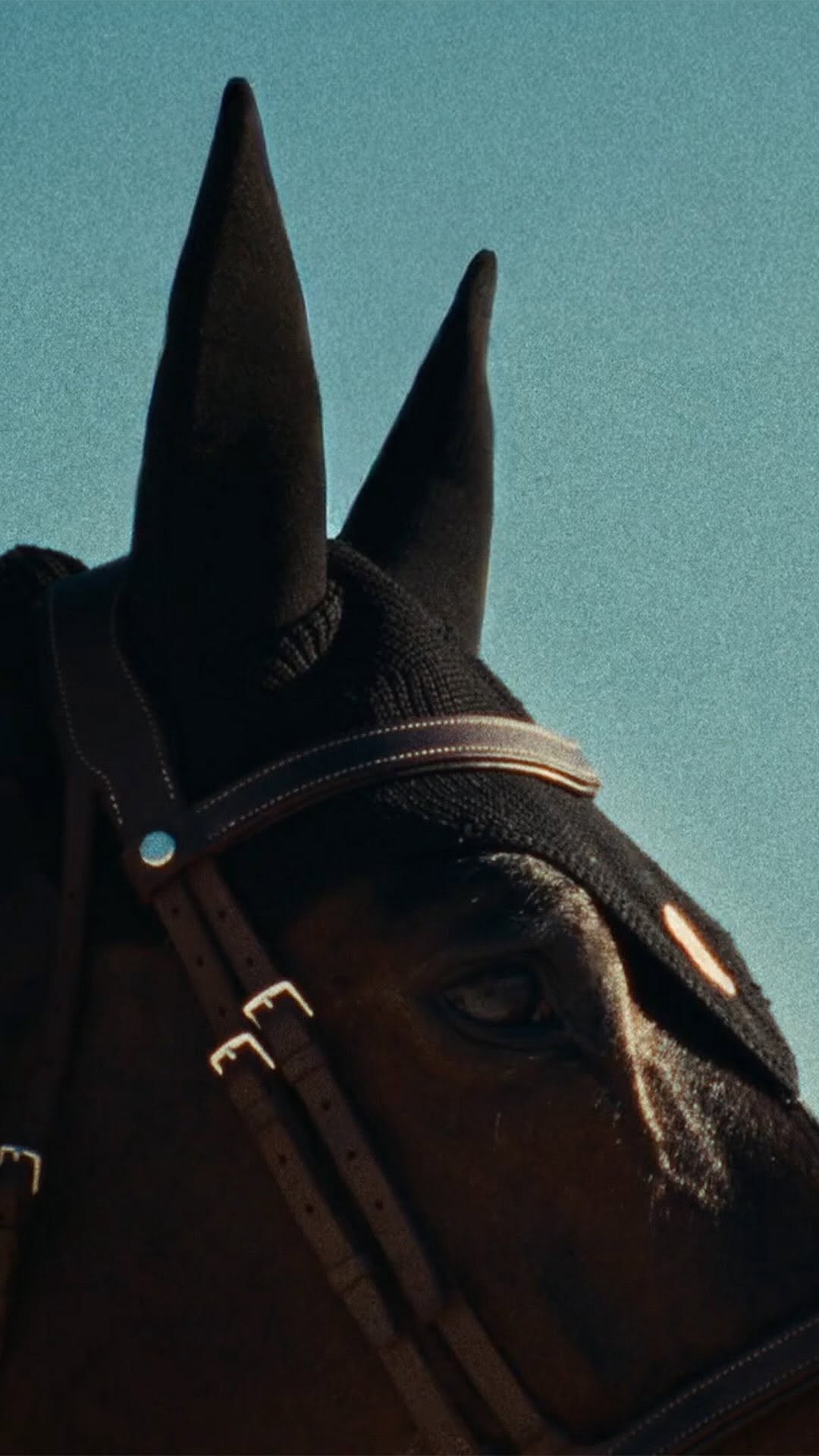 Take the reins! 🏇 The Saut Hermès at the Grand Palais is coming back starting March 20th. Bringing together show-jumping legends and promising riders under 25, the competition celebrates horses with