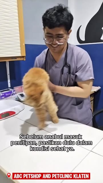 #Harga Vaksin Anjing Reel by @abcpetshoppetclinicklaten - "Banyak pet owner yang harus menitipkan anabul saat liburan, mudik, atau ada keperluan tertentu. Tapi sebelum titip sehat, ada beberapa hal penting ya