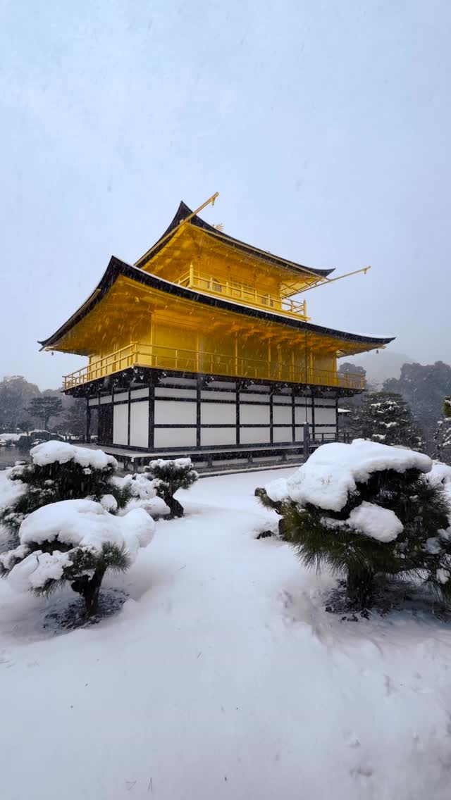 This looks like AI… but it’s real. Standing in front of the Golden Temple in Kyoto, Japan, during snowfall felt like stepping into a dream. The iconic Kinkaku-ji, also known as the Golden Pavilion, g