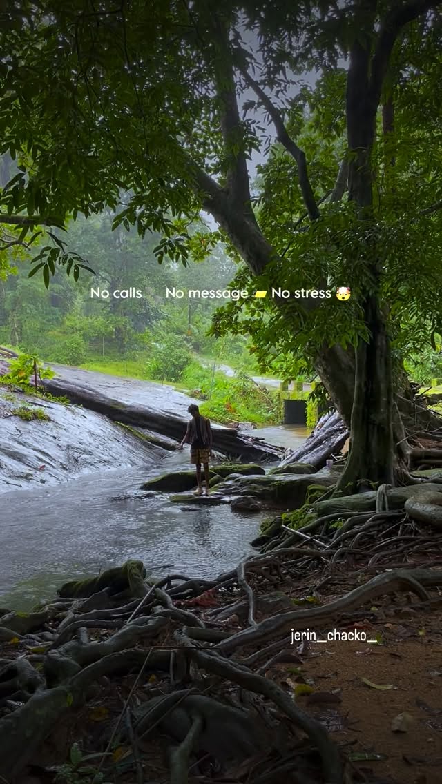 No calls 📞No messages ✉️ No stress 🤯 just Peace 🧘🏻♂️ #peace #forest #naturelove #jungle #monsoon peaceful nature atmosphere no stress forest nature lovers