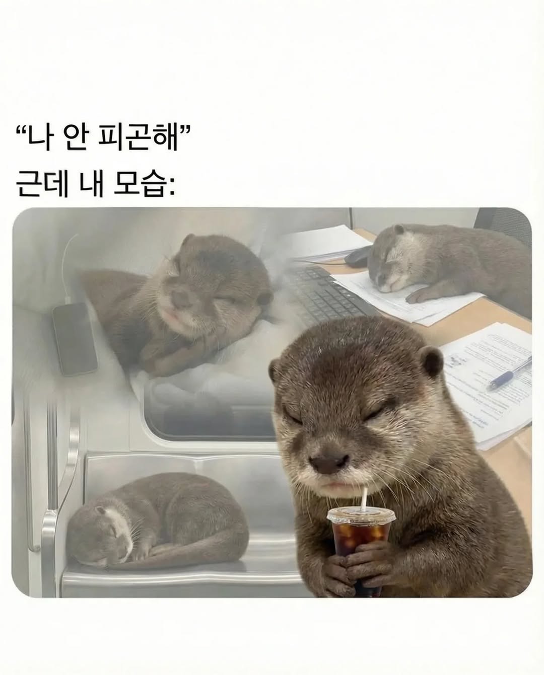 눈 뜨고 말해.... #피곤 #월요병