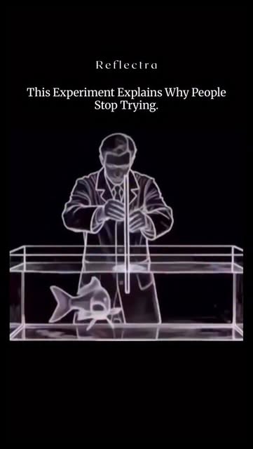 #Success Reel by @reflectraexplores - Why do people suddenly stop trying, even when success is right in front of them?
A famous psychological concept called Learned Helplessness helps exp