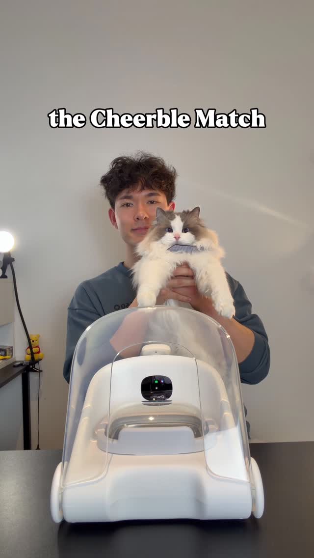 Check out the @cheerble_global Match G1 in the link in my bio. Use code 05TOFUS for an extra 5% off! #reels #cats #cutecat #cheerble #MatchG1