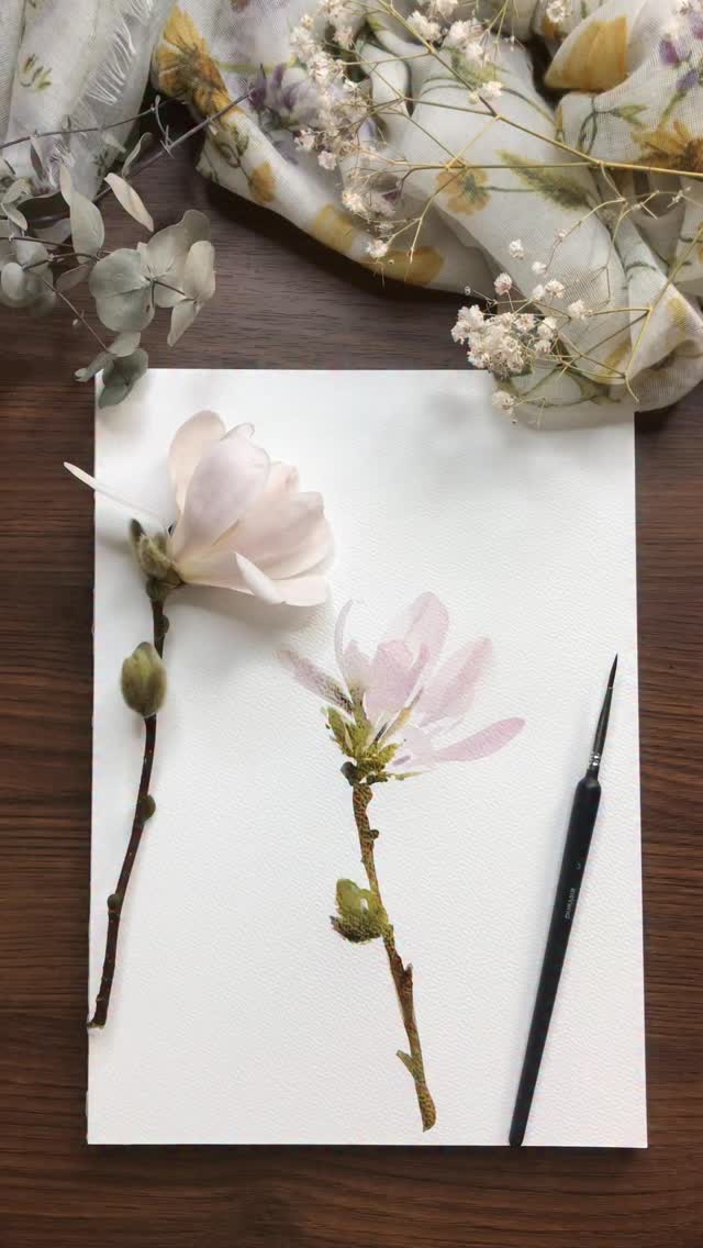 While I still wait for magnolias to bloom this year, here is one I painted 2 years ago. #watercolorfloral #watercolorpainting