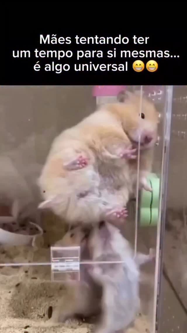 Quem se identifica? Hahaha! 😂 Uma sexta-feira animada pra nós. Espero vcs no @emfamiliacomeliana domingo! 🎥: @jiordana_souza #maternidadereal