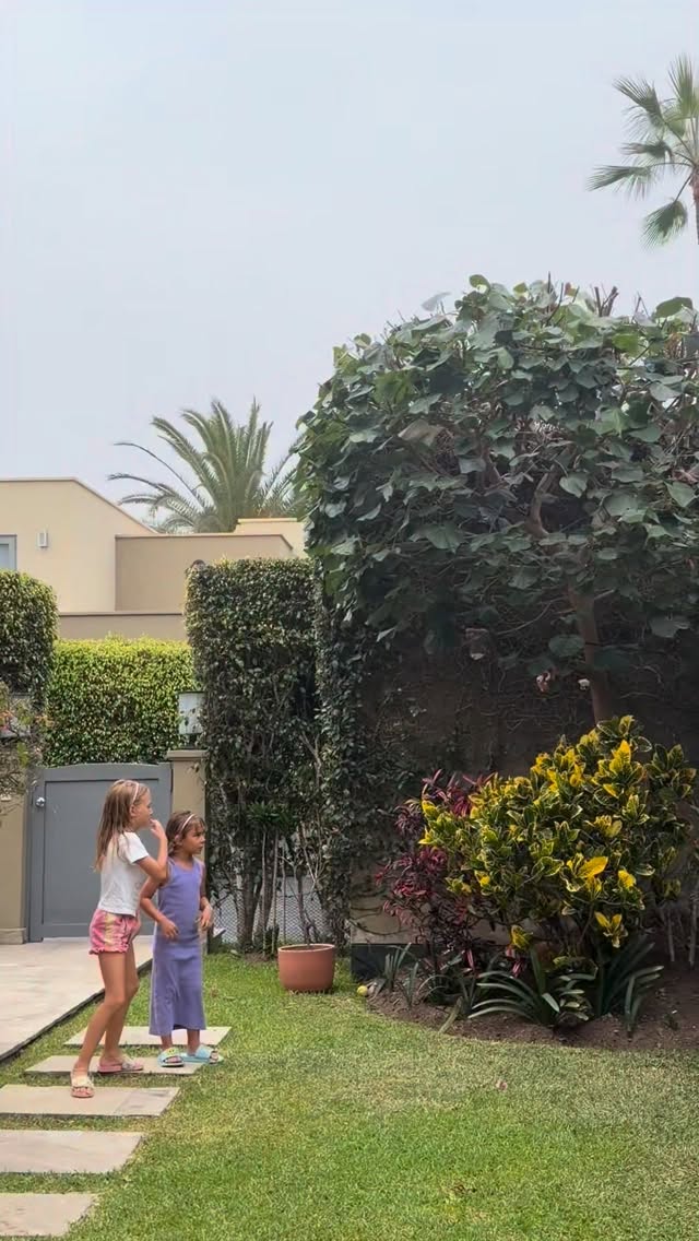 Que los Amigos del Bosque acompañen a los niños en esta vuelta a clases🤩 Son 4 peluches coleccionables que se convertirán en el compañero perfecto de los más chiquitos Corre a tu supermercado Tai Loy