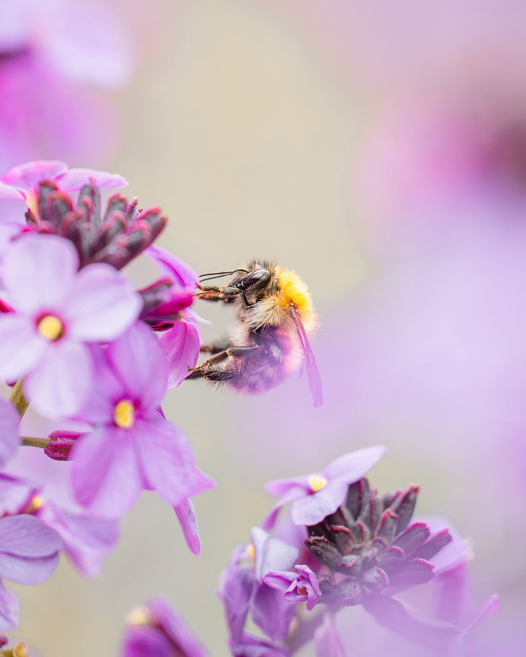 Spring has arrived. 🌸 Longer days, softer light, and colours coming back to life — the perfect moment to pick up your Nikon and capture the season as it unfolds. What’s the first sign of spring you