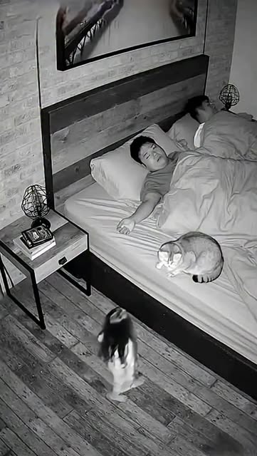 #Japon Reel by @naturesansfrontiere_ - Vos pas sont de l'électricité gratuite ! ⚡ 🇯🇵 Au Japon (à la gare de Shibuya), les gens font littéralement payer la ville juste en allant travailler