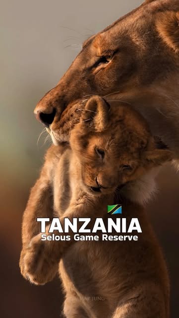 #Naturephotography Reel by @zanzibarterminus - SELOUS GAME RESERVE 🌿🦁
The Selous Game Reserve, covering 50,000 square kilometres, is amongst the largest protected areas in Africa and is relative
