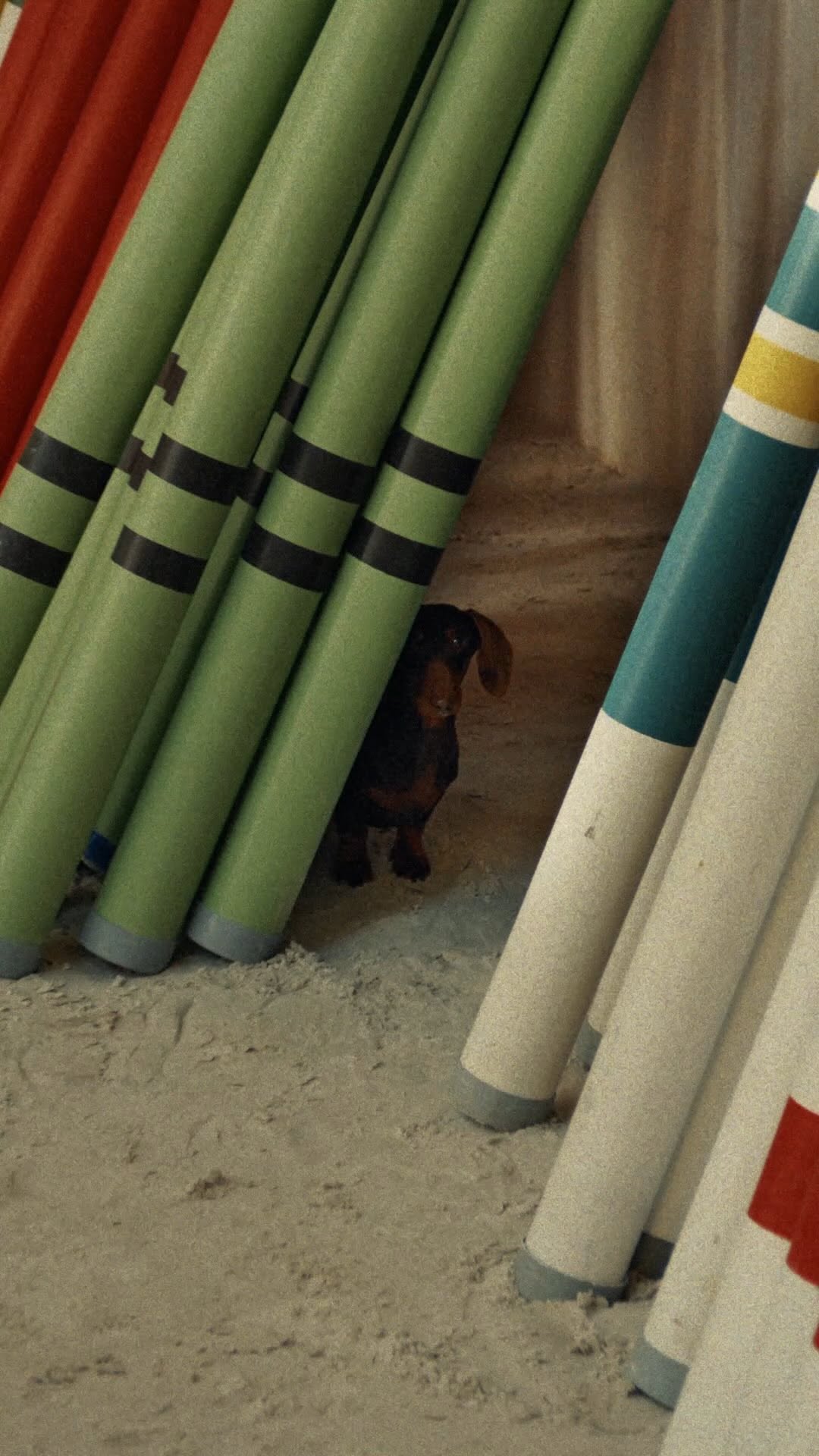 Leooooooooooooon? 🐶 The Saut Hermès is nearing its end at the Grand Palais. Bringing together show-jumping legends and promising riders under 25, the competition celebrates horses with a cornucopia