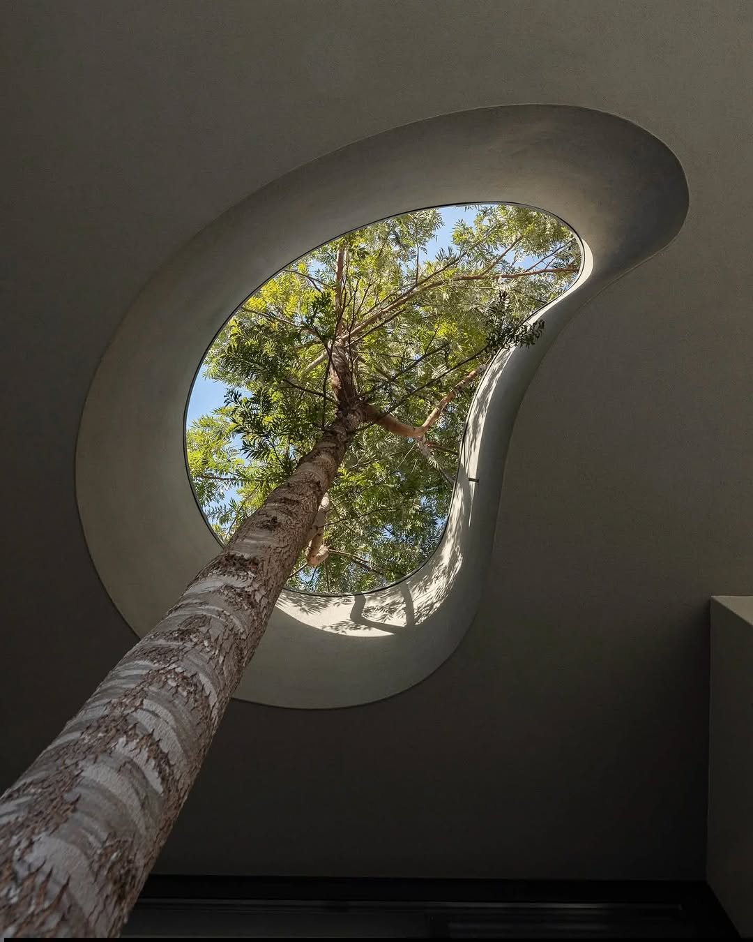 Architecture reaches its full potential when it stops resisting nature and begins to work with it, shaping spaces that respond to existing trees, sunlight, and natural airflow rather than erasing them