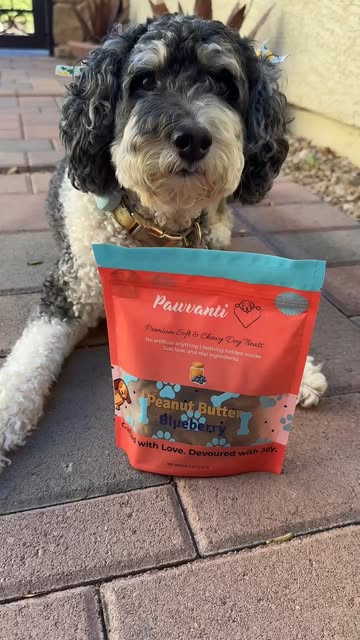 #Pet Treats Reel by @pawvanti - POV: you just found your dog's new favorite treat. 🥜🫐
Real peanut butter. Real blueberries. Zero fillers -- just soft, chewy goodness your pup will