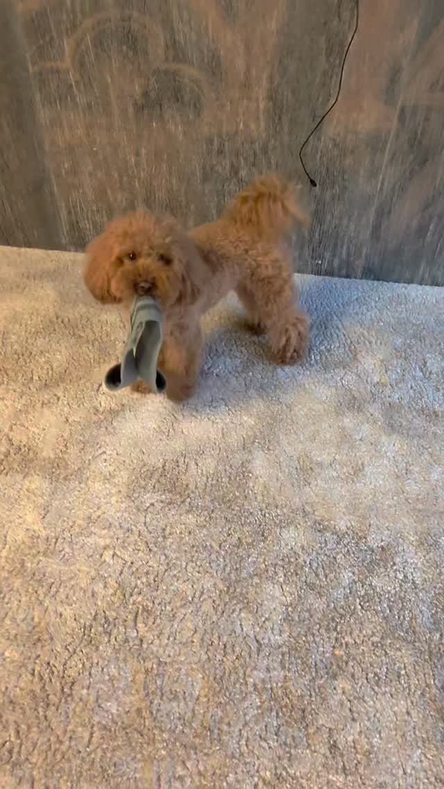 DB9 + Galaxy AI = Art on a whole new level. Watch the fun and transformation. #GalaxyZFold7 #GalaxyAI #TeamGalaxy @samsung_bulgaria