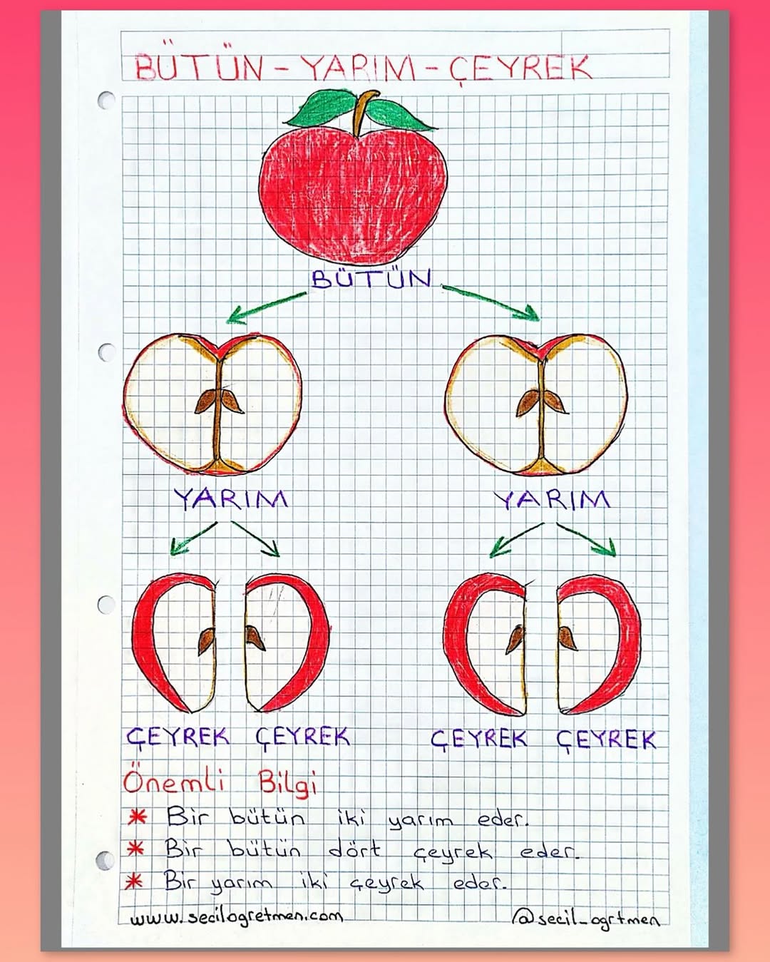2.sınıflar için el emeği göz nuru hazırladığım “Bütün,yarım,çeyrek” defter notlarımı gördünüz mü?? ☺️ PDF dosyasını web sitemden ücretsiz indirebilirsiniz. Nasıl mı? ✅ profilimdeki lin.kten ✅ www.sec