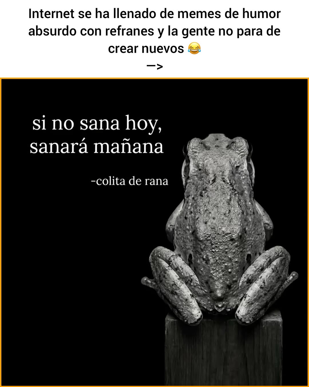 SIEMPRE SERÉ DEL EQUIPO DEL HUMOR ABSURDO 😂