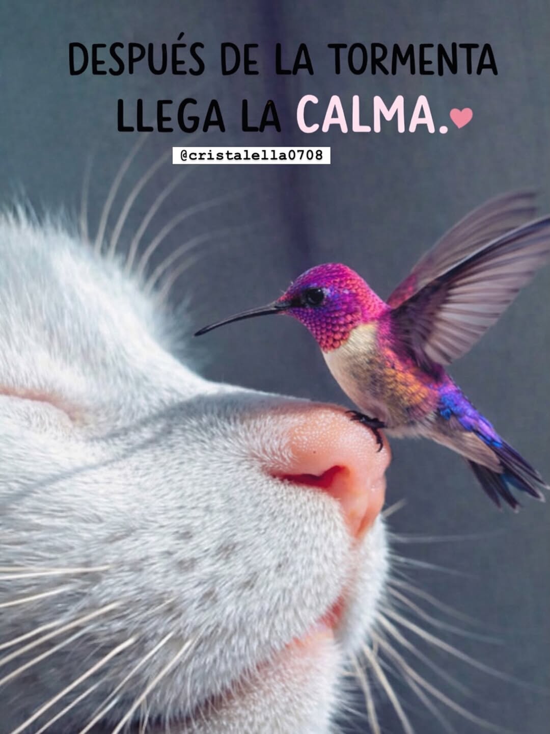 #frases #paratiiiiiiiiiiiiiiiiiiii❤️ #agradecida #viral