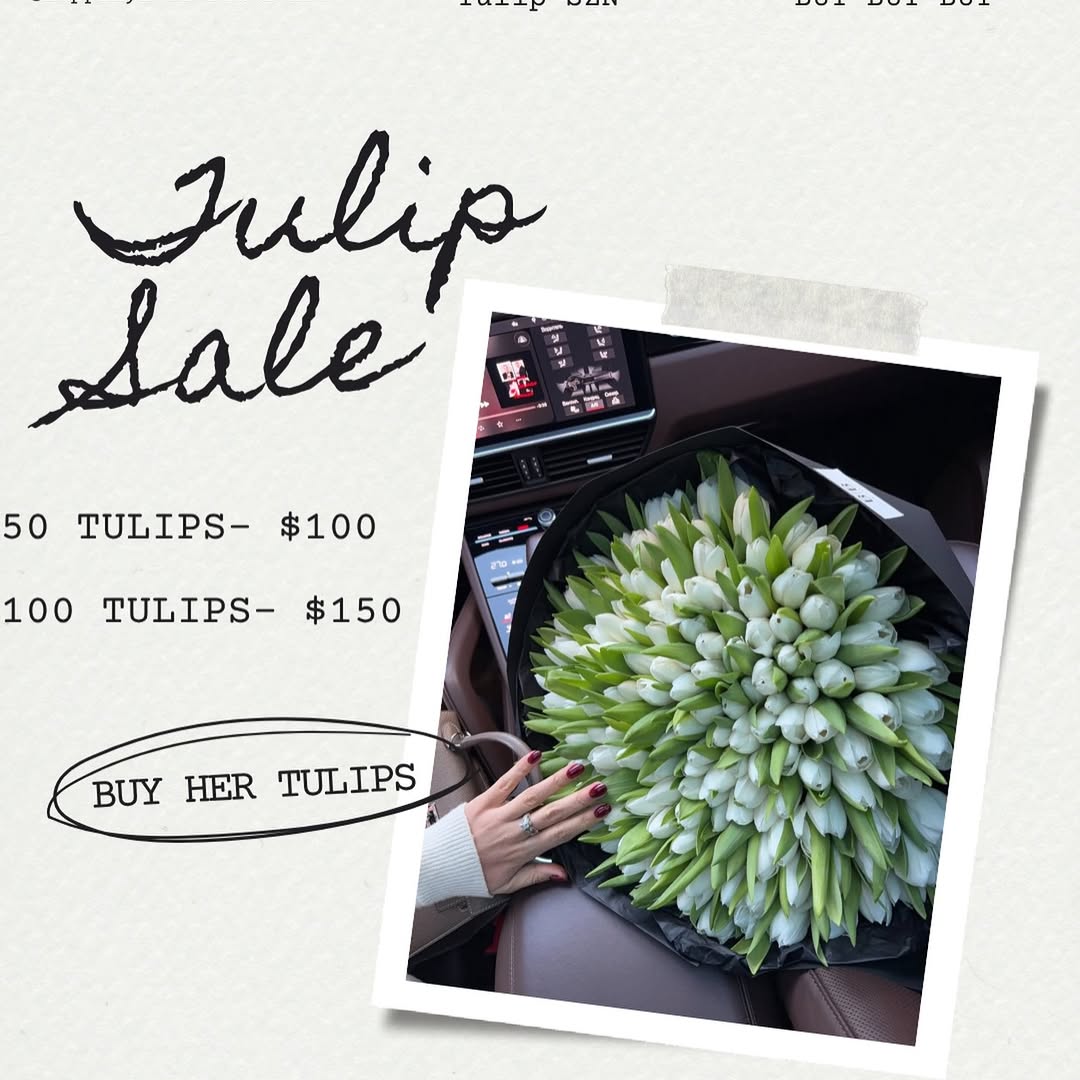 Chicago, Illinois - Instagram photo shared by @happilyevercreationsss in March 2026