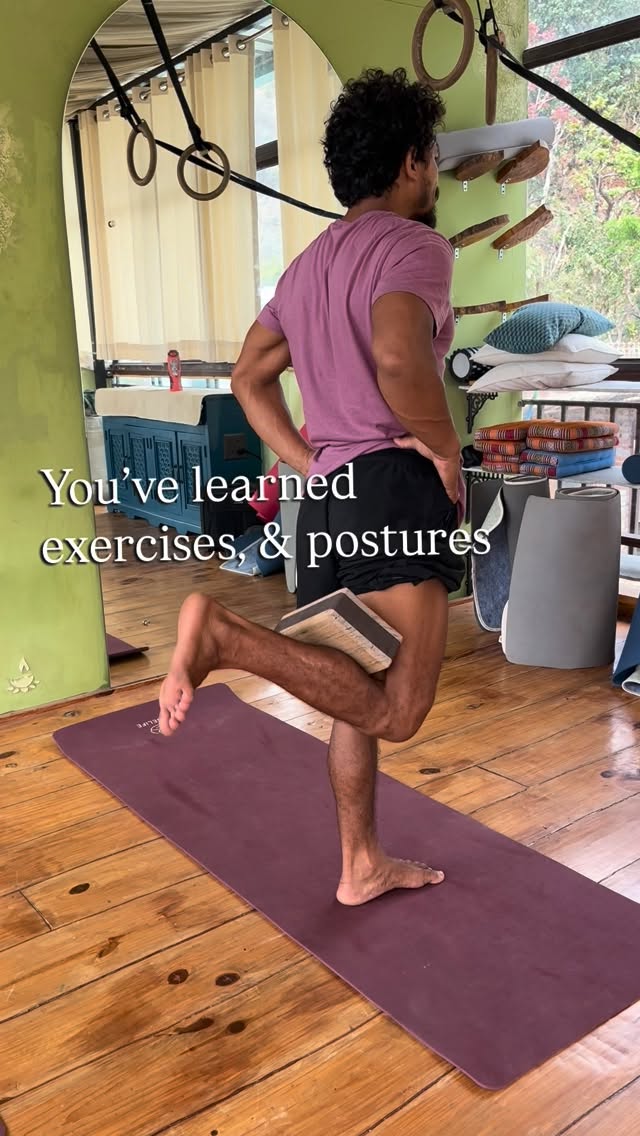 You’ve worked with your body. Maybe through yoga, strength work, or other systems. You have tools. But most people still hit a limit: They stay inside one method… or jump between many without knowi