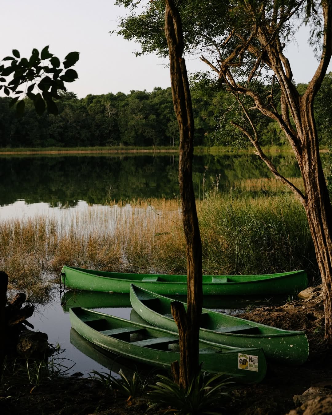 Photo by @jessicasample | At Punta Laguna, a freshwater lagoon just outside CobΓ‘, on Mexico's Yucatan Peninsula, visitors canoe through a protected jungle habitat known for spider monkeys and birdlife