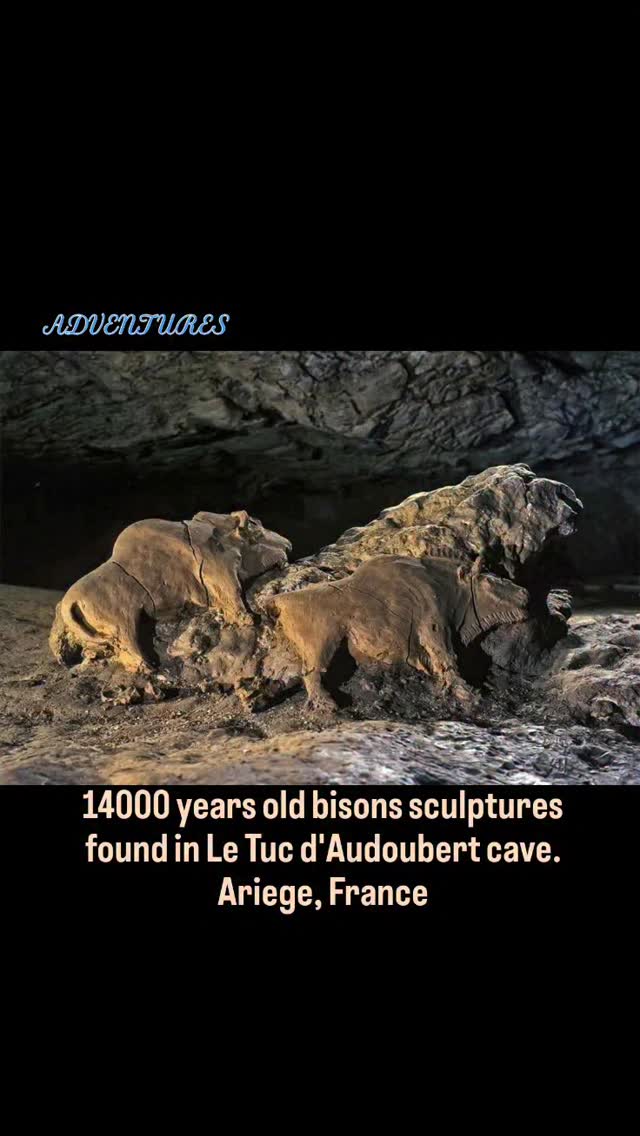 14000 years #old #bisons #sculptures found in Le Tuc d'Audoubert #cave. Ariege, France