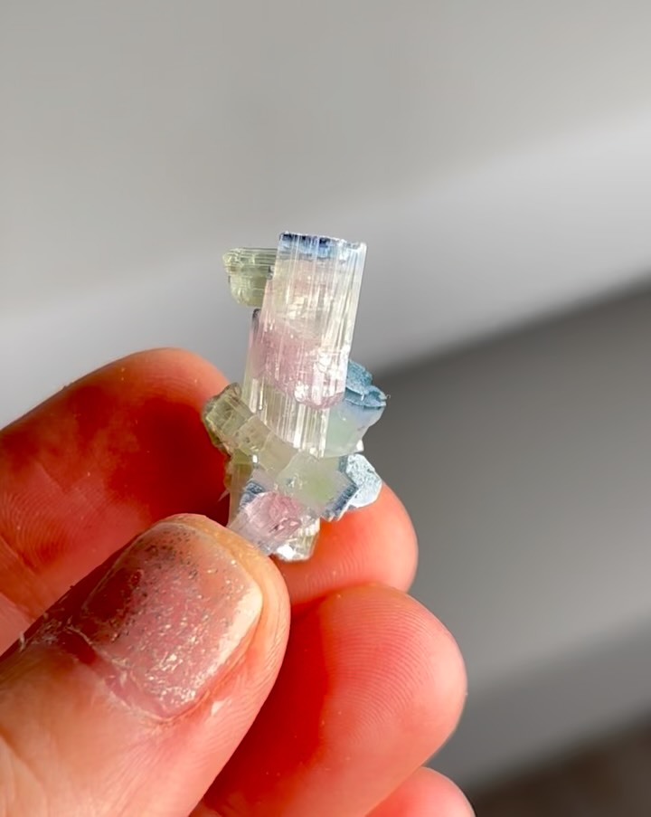 Blue Tip Tourmaline miniatures 😍😍 We have received an incredible batch of blue tip tourmalines 😍😍 These pieces are extraordinary ! Excited to offer them on our website 🎉 #amazinggems #raretourm