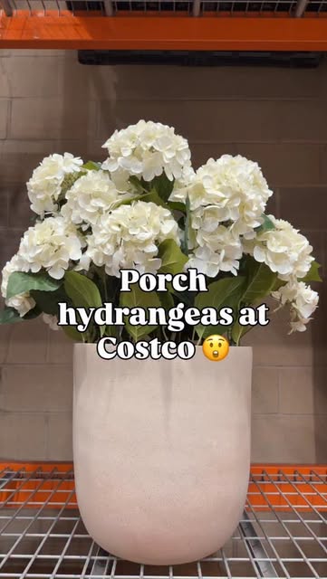 #Springdecor Reel by @costconewdeals (verified account) - Spring decor is coming in strong at Costco πΈ look at these
New porch hydrangeas are such a beautiful find (one of my favorite flowers) super lifelik