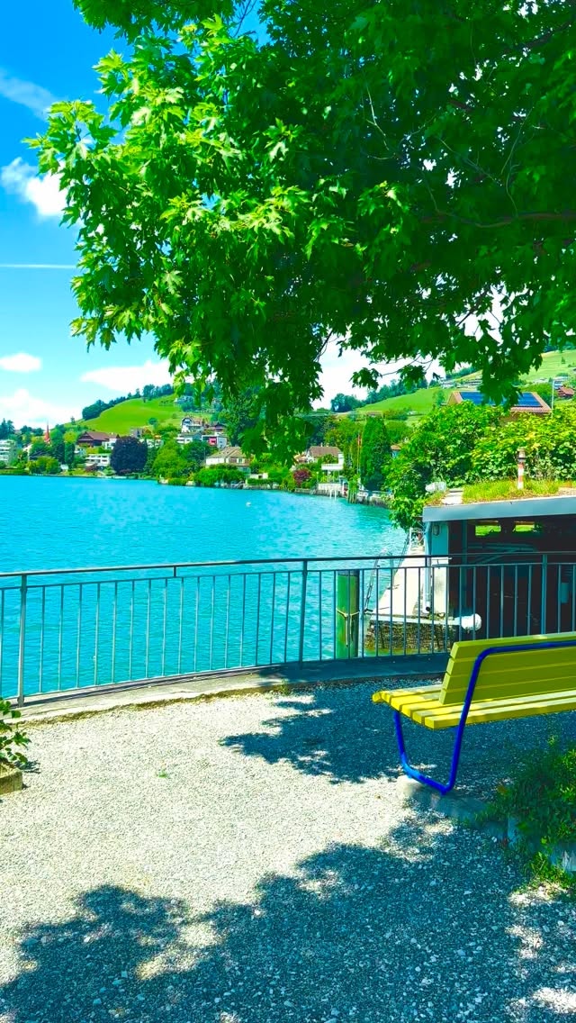 Switzerland 🇨🇭🌿🌳🏞️🏡⛰️ Weggis am See 📍 #switzerland #wanderlust #nature #fotografie #weggis