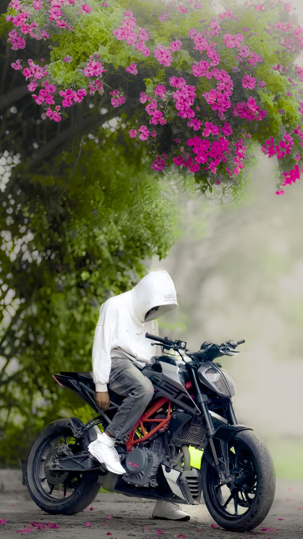 Premium presets β¨ Comment βPresetβ β€οΈ 25 Premium Lightroom Presets + Indoor Outdoor Travel Portrait All Photos Mobile + Desktop friendly |One-click presets (lightroompreset, premiumpresets, photoedi